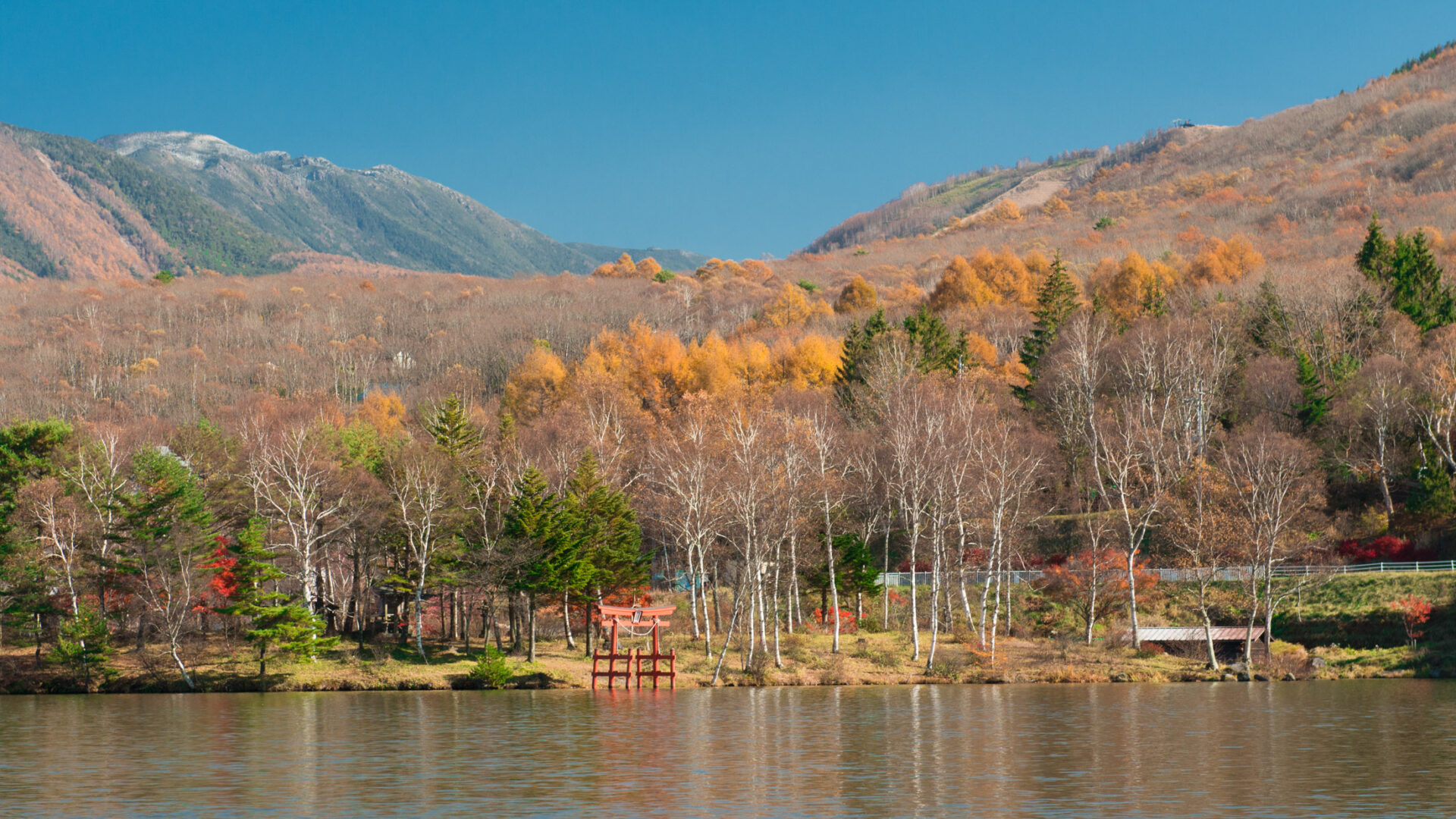 Tranquil autumn lake with colorful trees, snow-capped mountains, and clear blue sky.