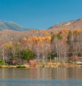 Tranquil autumn lake with colorful trees, snow-capped mountains, and clear blue sky.