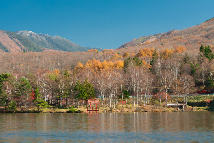 Tranquil autumn lake with colorful trees, snow-capped mountains, and clear blue sky.