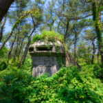 Tranquil scene of nature reclaiming historic structure at Futtsu Park in Japan.