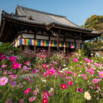 Hannya-ji Temple