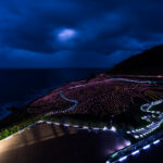 Enchanting illuminated rice fields in Japan with mesmerizing LED lights against the sea.