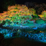 Ritsurin Garden