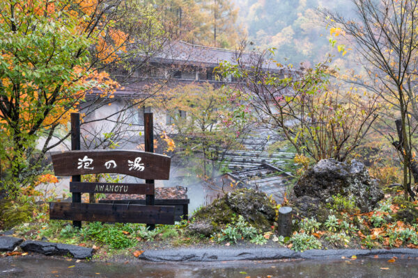 Tranquil Japanese hot spring in autumn with traditional wooden structure and steaming waters.