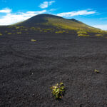 Discover the raw beauty of Oshima Islands volcanic landscape with Mt. Miharas dramatic crater.