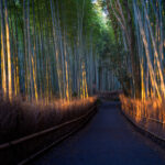 Serene Bamboo Pathway in Arashiyama, Kyoto, Japan