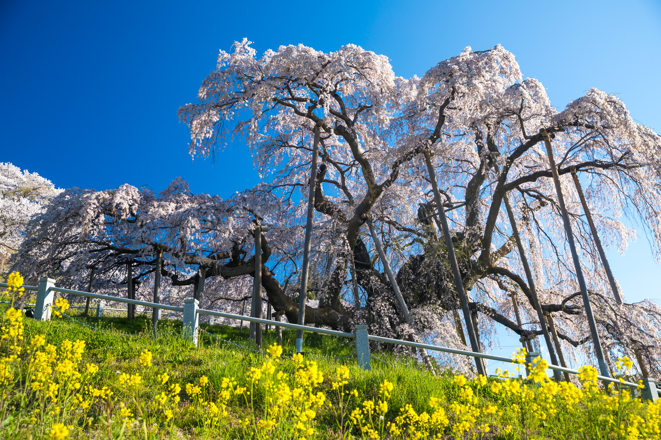 Koriyama