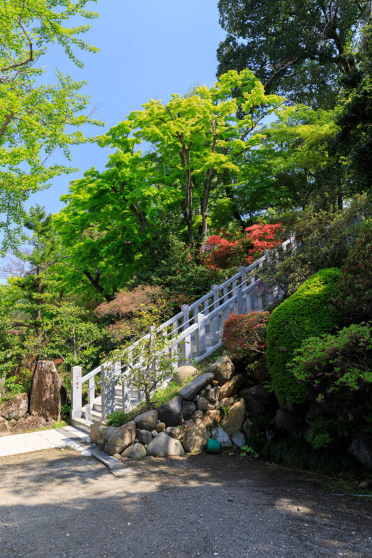 Shōrinzan Daruma-ji Temple