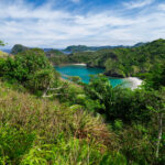 Lush tropical coastal paradise view