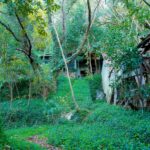 Overgrown Abandoned Smallpox Isolation Ward Sanctuary