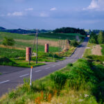 Meandering Country Road Landscape View