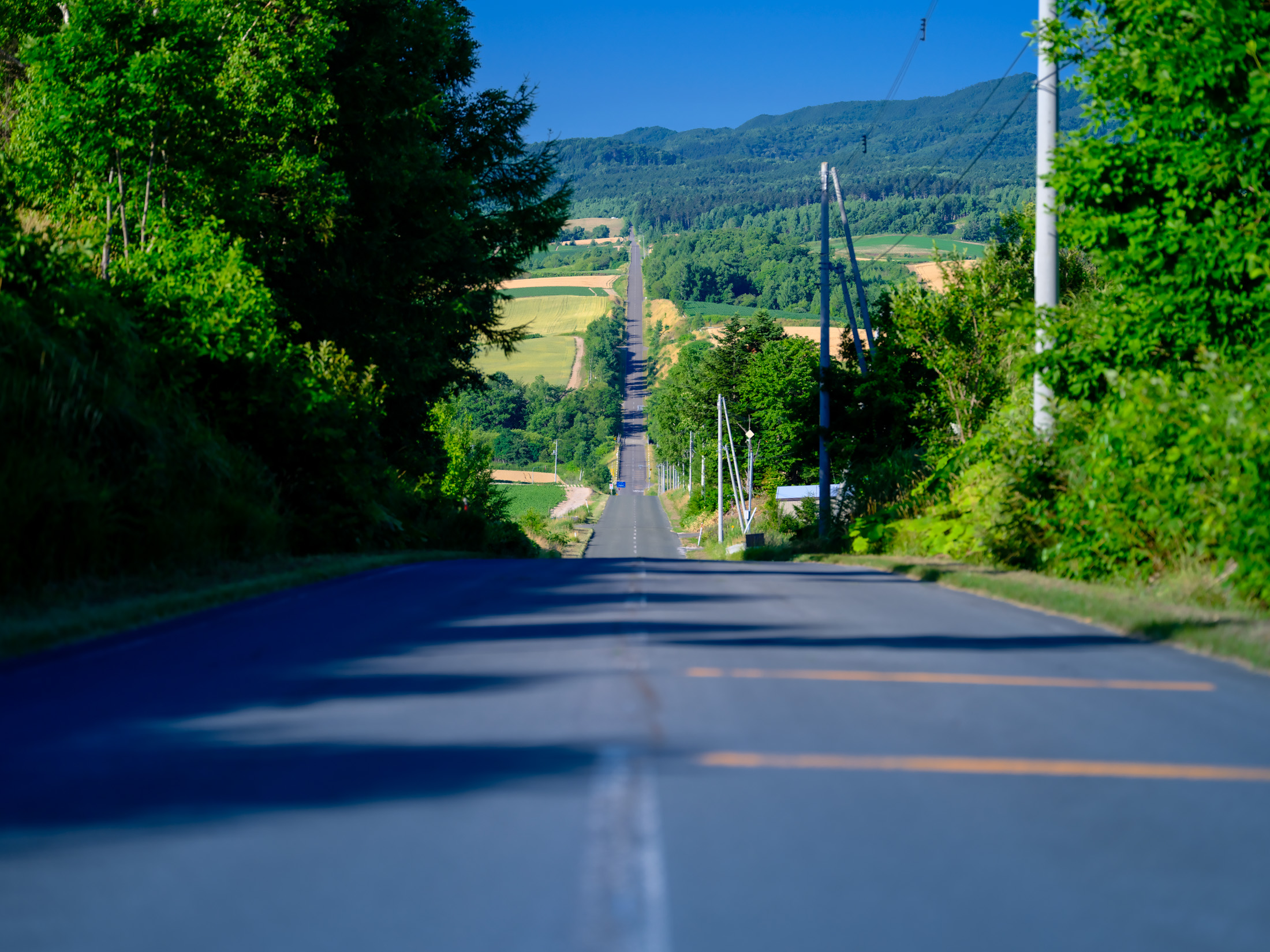 Furano