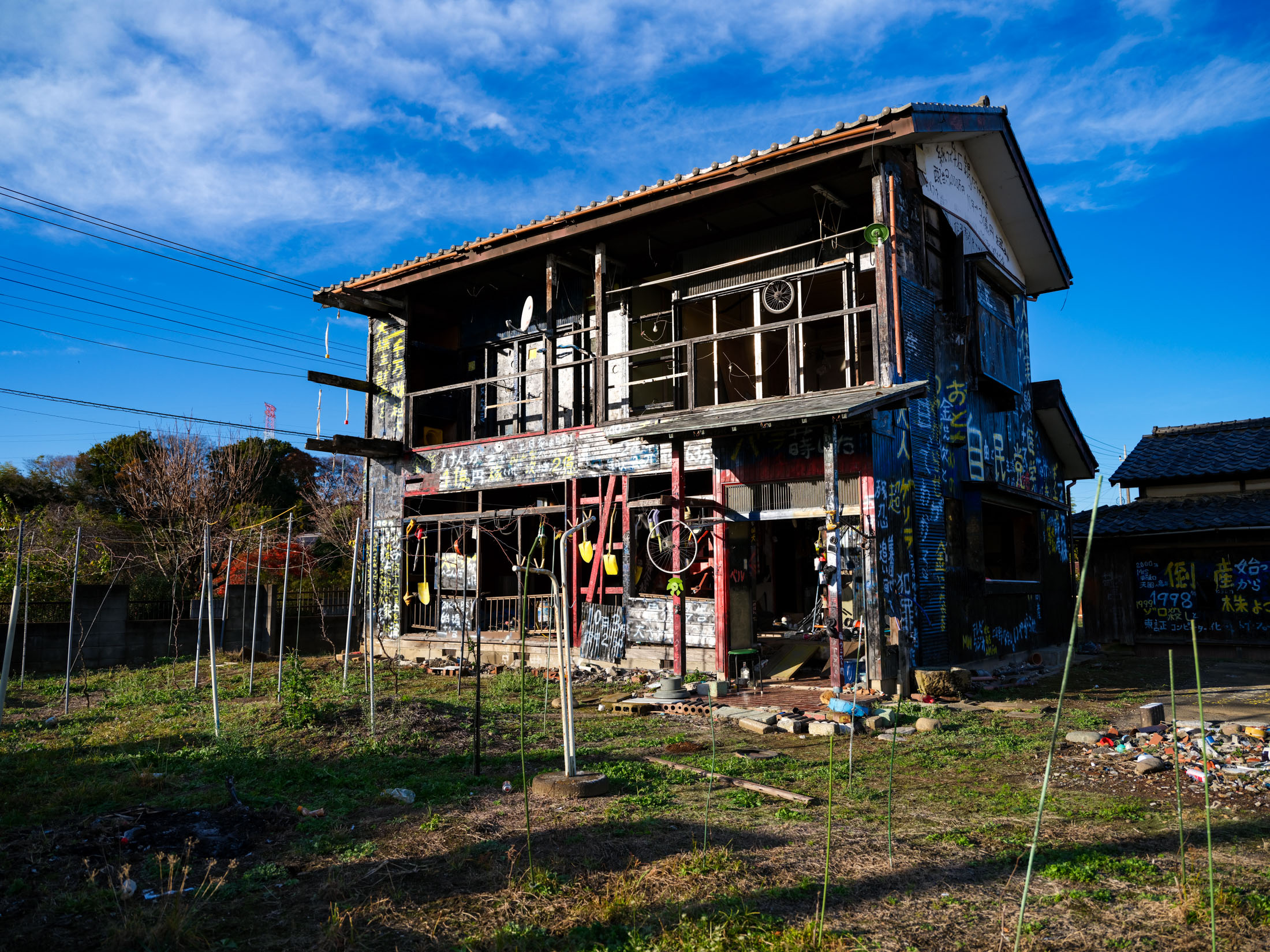 通年