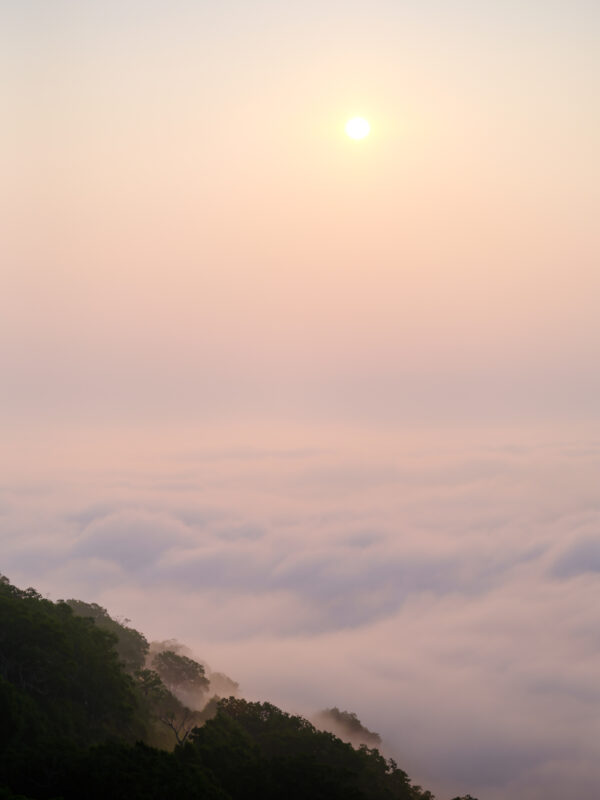 Sunrise over sea of clouds with forested mountain ridges, unkai terrace view