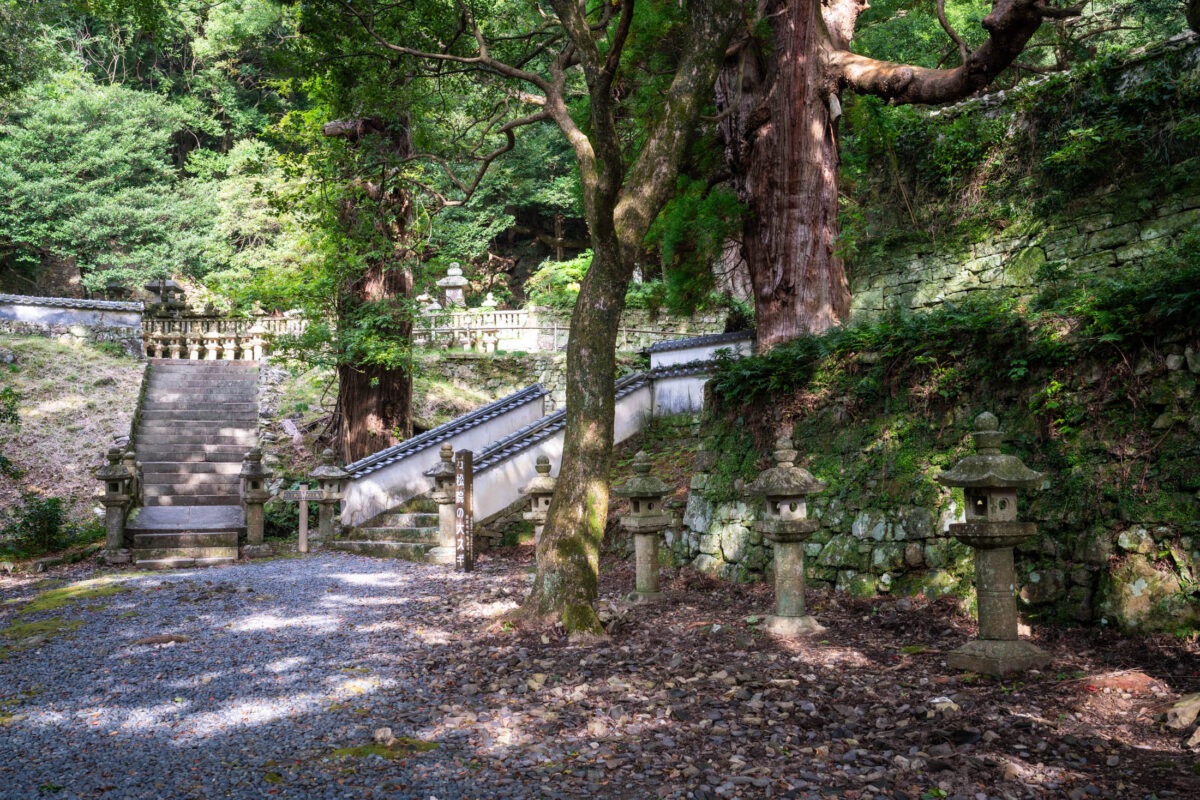 Banshoin Temple forest path with stone lanterns and mossy steps in Japan