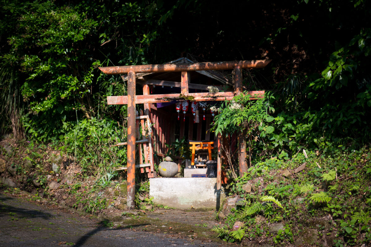 Weathered vermilion torii gate framing hidden Shinto shrine in lush forest at Hase-dera.