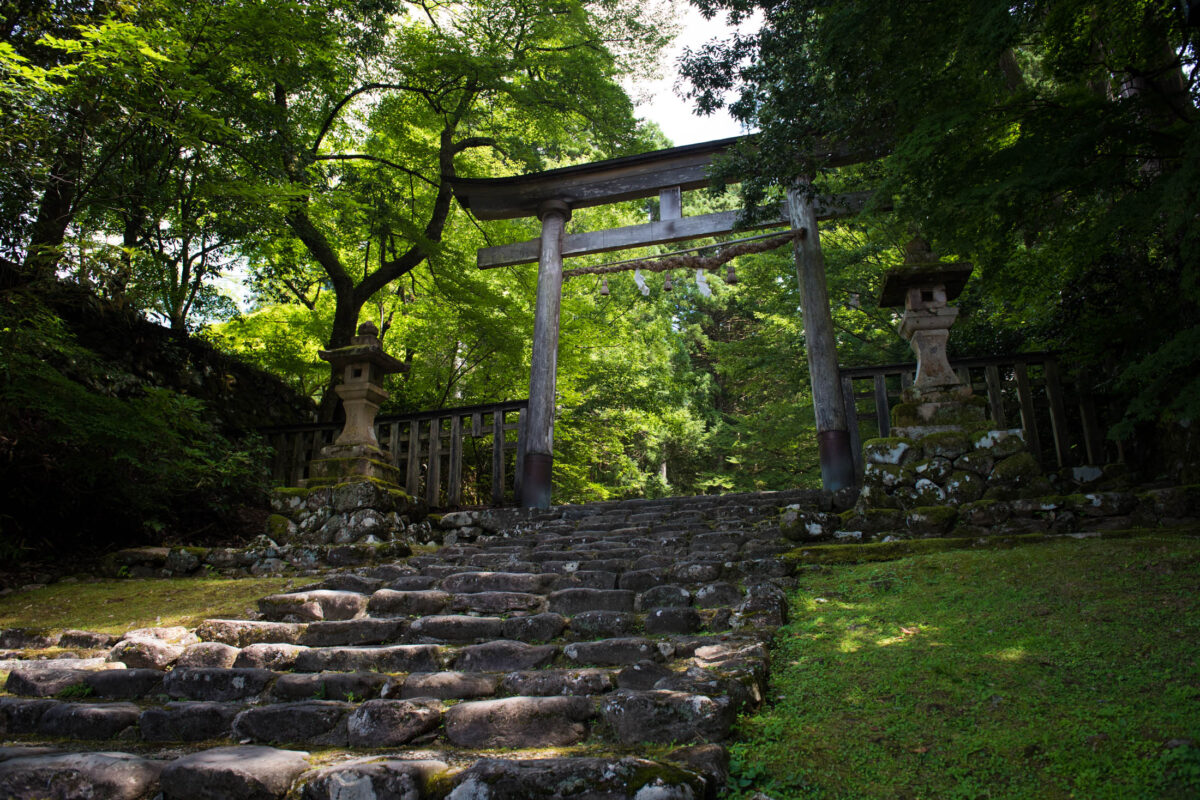 Mossy stone steps and torii gate at Heisenji Hakusan Shrine in Japan forest.