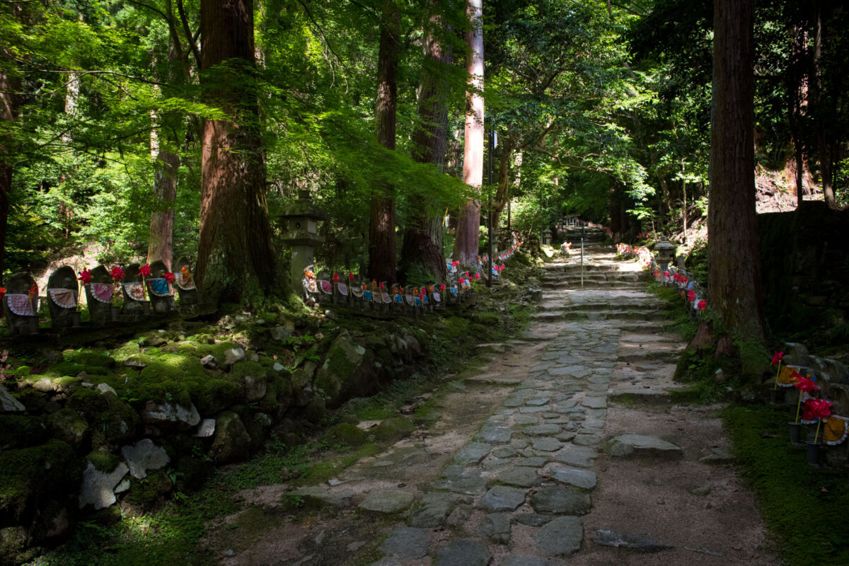 Mossy stone path lined with red-cloaked statues at Kongōrin-ji Temple forest