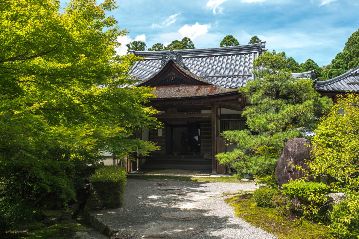 Kongōrin-ji Temple main hall with curved gravel path, moss garden, and lush trees.
