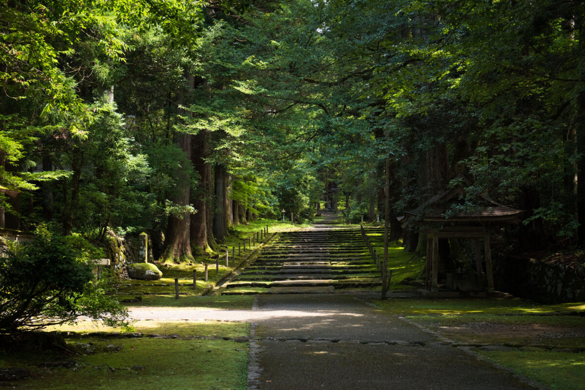 Mossy stone steps on shrine path through cedar forest at Heisenji Hakusan Shrine