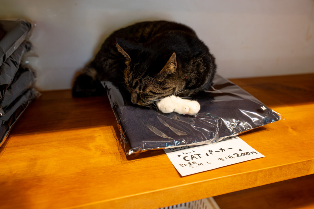 Sleeping tabby cat curled on folded clothes shelf beside CAT ねこ sign