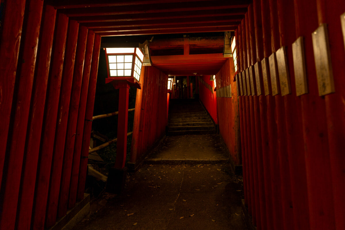 Vermilion torii gate tunnel at Taikodani Inari Shrine with lantern-lit stone steps.
