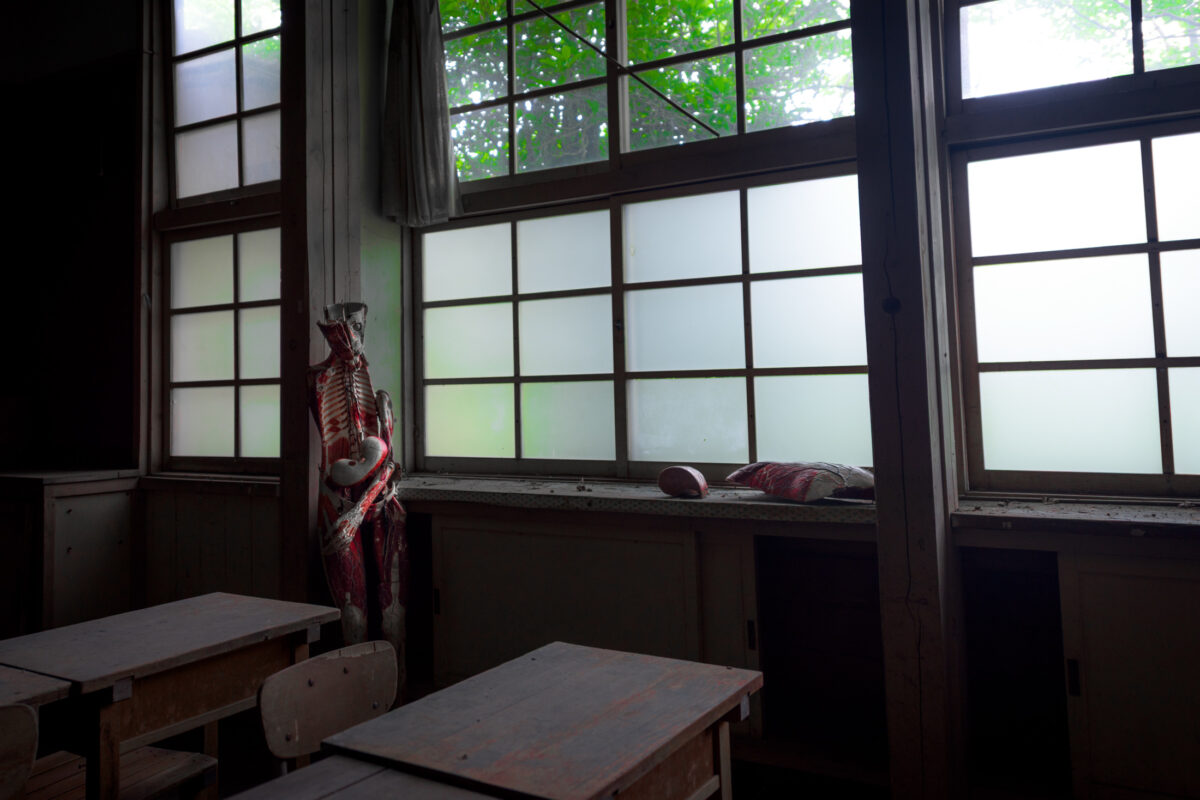 Abandoned classroom with dusty desks and anatomy model by frosted windows, eerie horror atmosphere