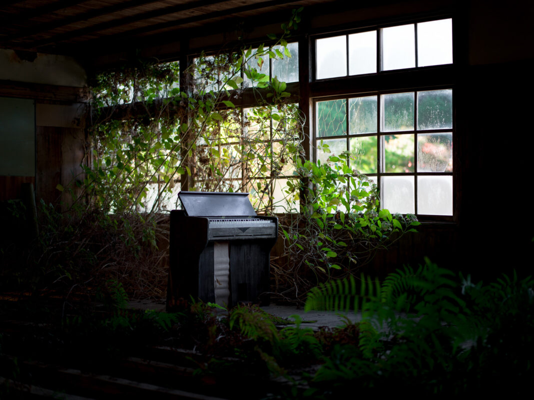 Overgrown abandoned school classroom with sunlit windows, vines, and a dusty piano