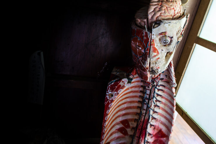 School of the Skeleton Teacher