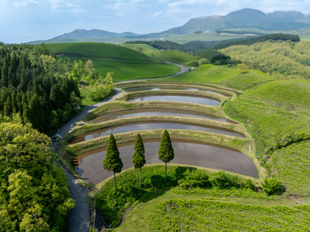 Aerial view of Japan’s Ogi rice terraces with water-filled paddies, trees, and mountains