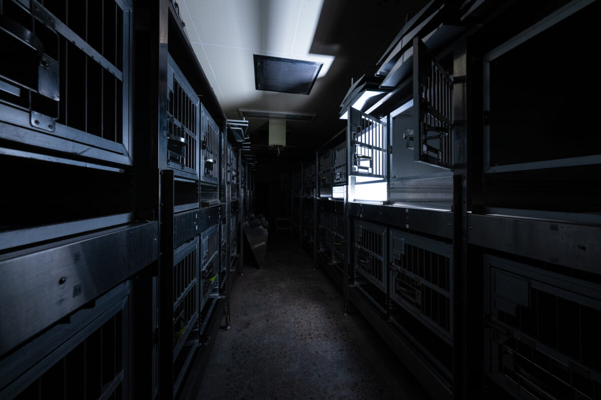 Dim animal research lab corridor lined with stacked metal cages under fluorescent lights.