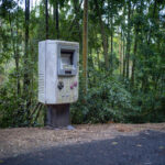 Giant weathered Game Boy mailbox beside a paved forest path among dense green trees.