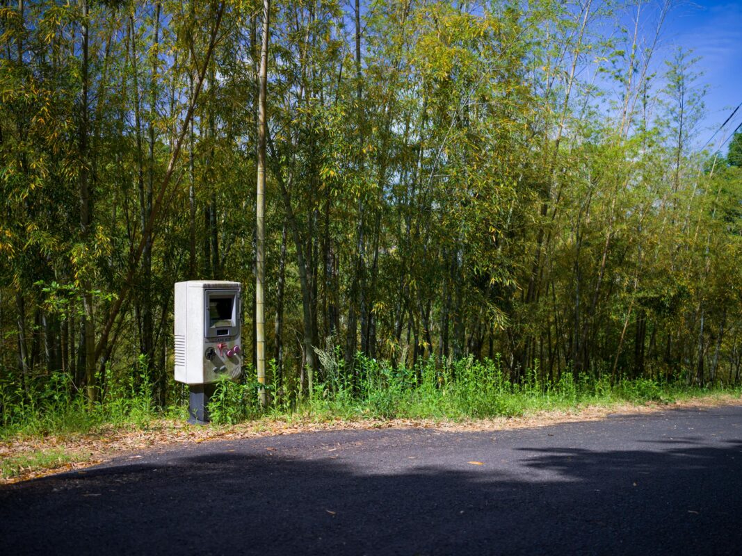 Game Boy-inspired mailbox beside rural asphalt road, surrounded by sunlit trees and green foliage.