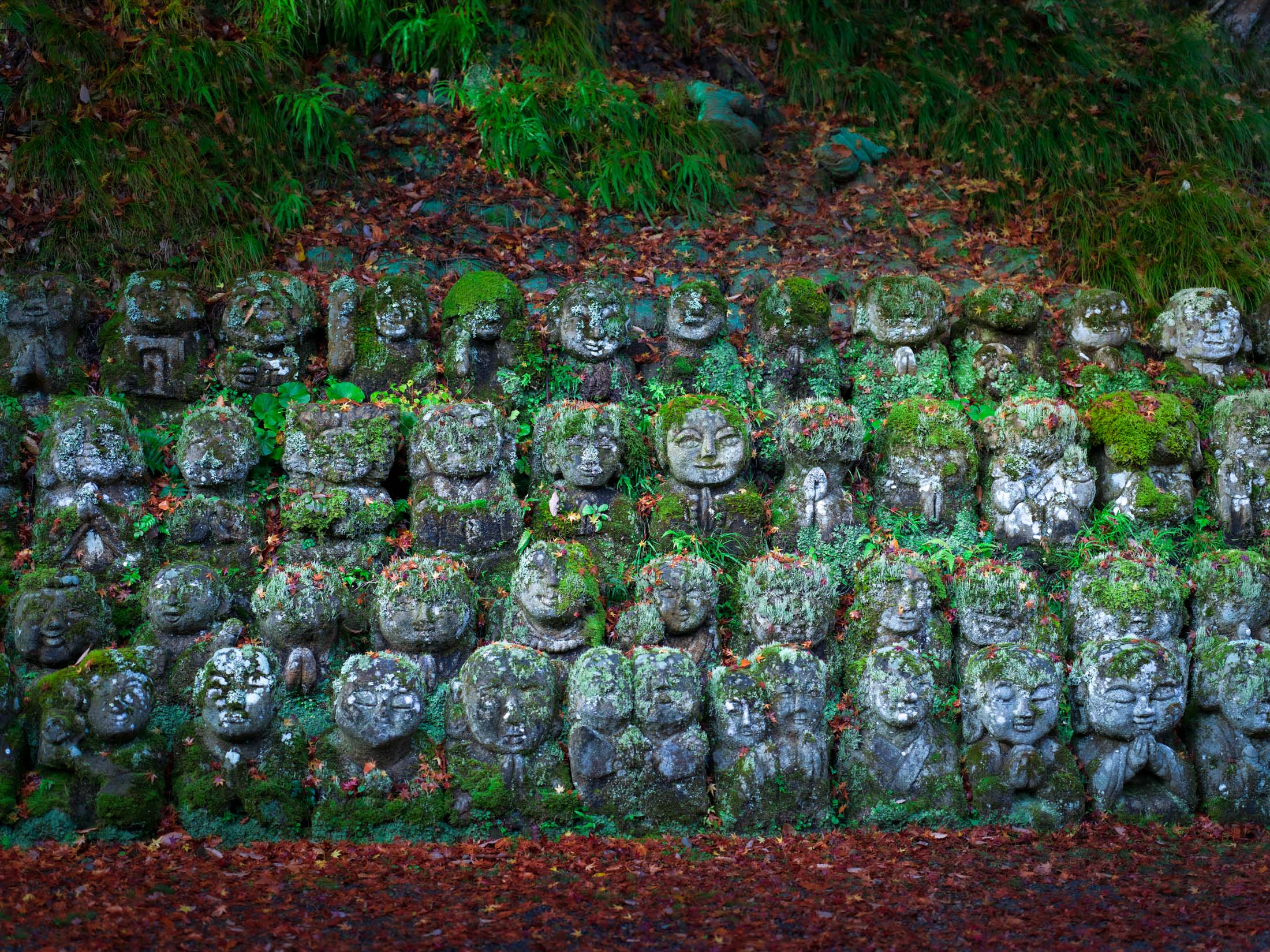 日本の秘境