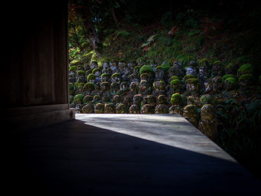 Sunlit moss-covered stone statues at Otagi Nenbutsu-ji temple in Kyoto