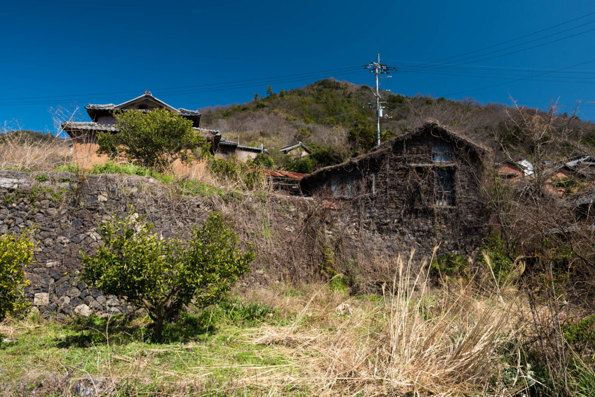 Ogijima