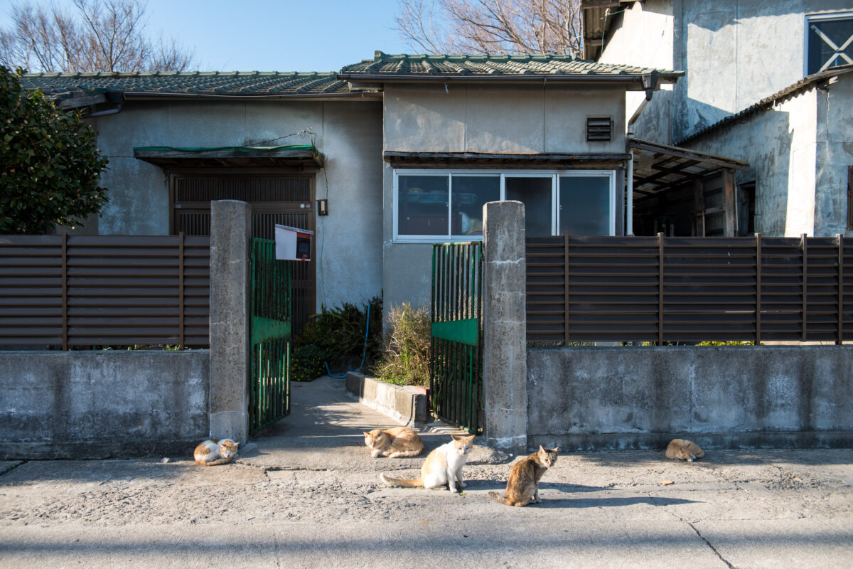 Ogijima