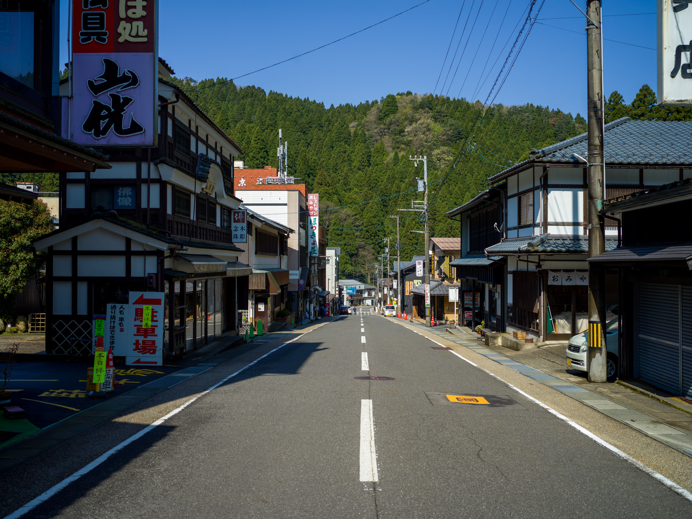 通年