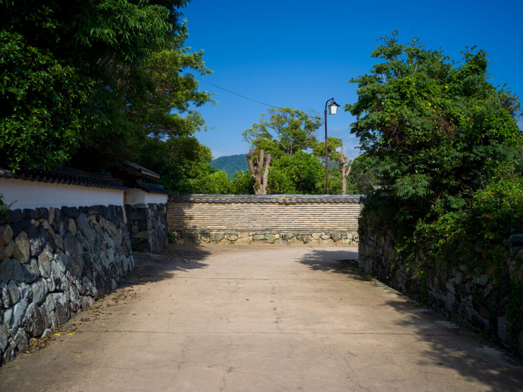 Hagi