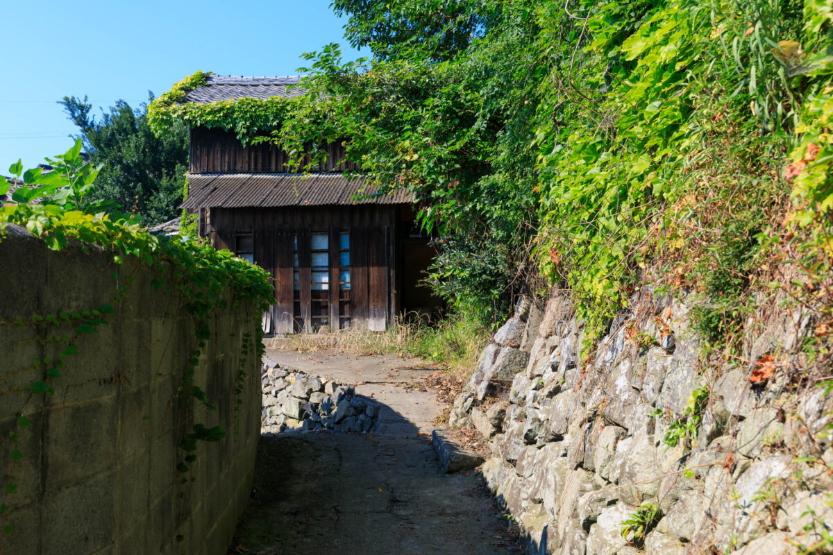 Ogijima