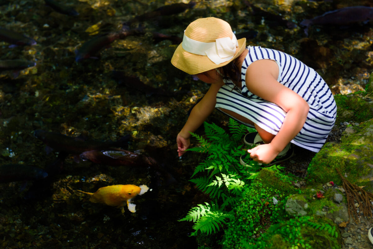 Takachiho Gorge
