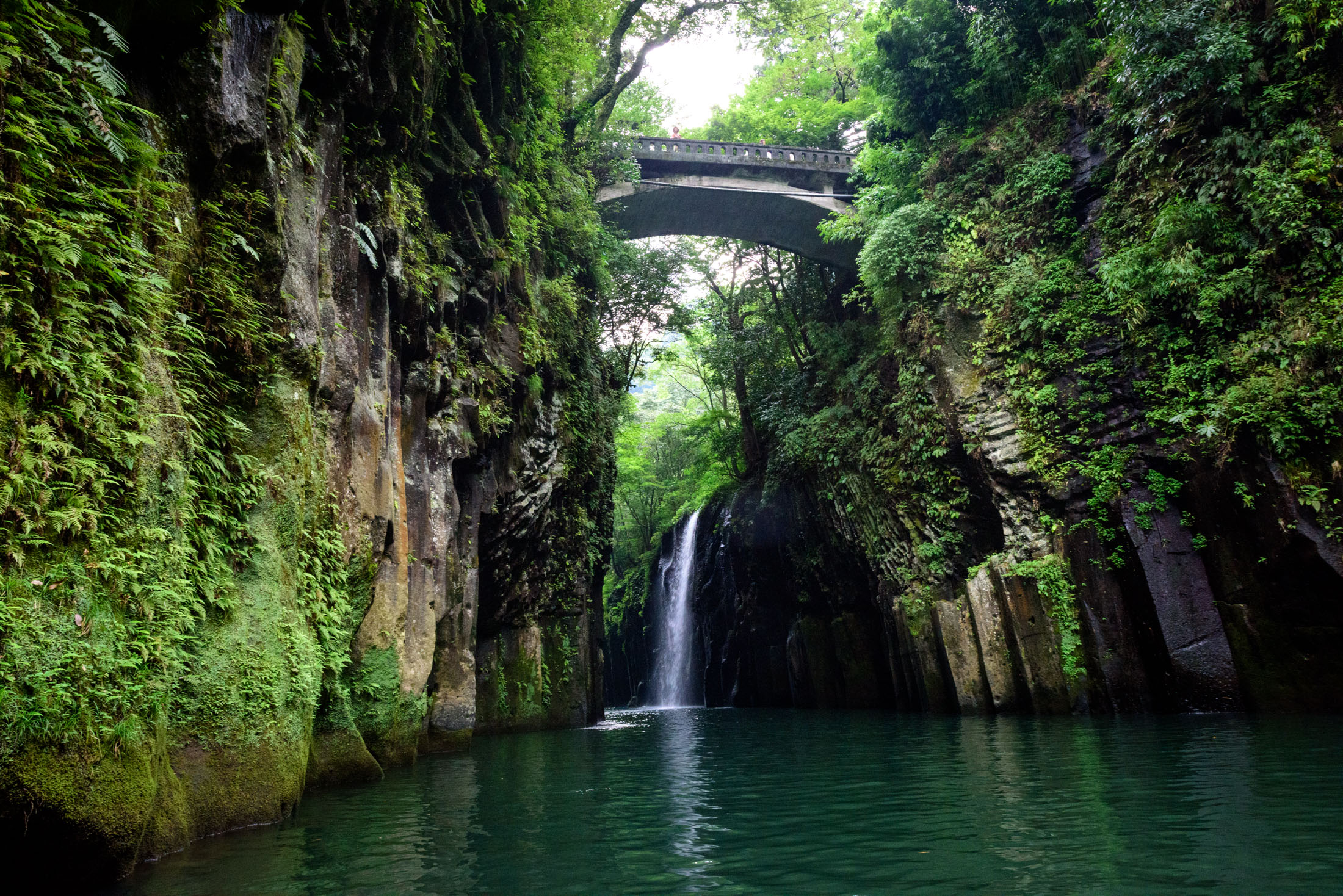 Miyazaki