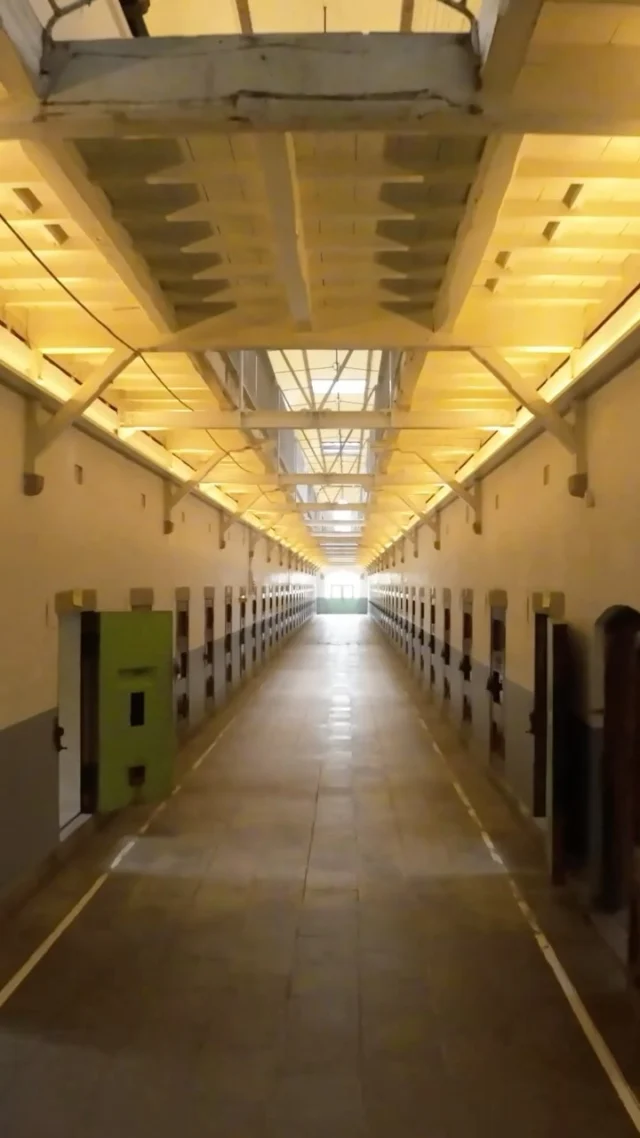 Quoi, vous êtes allés à Nara et vous ne saviez pas qu’il y avait une magnifique prison ? Encore une fois, il ne fallait pas suivre le guide ! 🤣 Allez, je vous emmène y faire un tour en FPV. Si vous likez, il y aura beaucoup plus de choses comme ça 😘 Merci les amis !Shooté par @jordymeowMonté par @cameraman_tokyo #nara #prison #japan #naraprison #fpv #fpvdrone