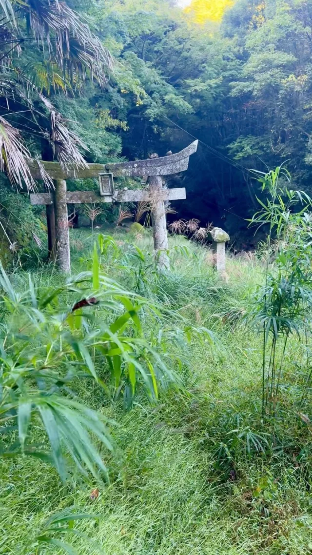 Il est pas légèrement mystique ce petit sanctuaire ?! 🥰 Lui aussi, il est un peu hors des sentiers battus ! Je l’ai trouvé au hasard sur Google Maps mais il est uniquement accessible depuis une route qui est barrée. J’y ai aussi trouvé l’épave d’un DJI Mavic 3 Pro 😅