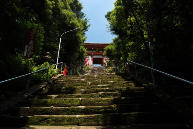 Emerald whispers, Scarlet gate guards timeless paths— Lanterns light the soul.  エメラルドのささやき、 緋の門が時を守る— 灯籠が魂を照らす。  #offbeatjapan #japan #shinto #torii #forestpath #japaneseculture #serenespace #mossystairs