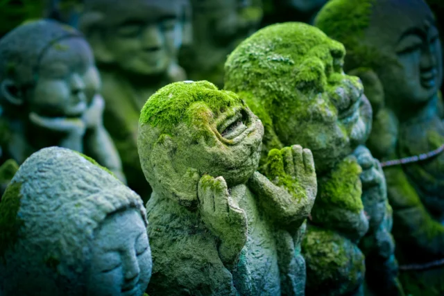 Emerald whispers, Stone monks in silent prayer, Nature's quiet hymn. ---エメラルドの囁き、 石の僧侶静かに祈る、 自然の静かな賛歌。 ---#NatureMeditation #SpiritualSerenity #MossyMonks #TempleGardens #SacredJapan #OffbeatJapan #Japan