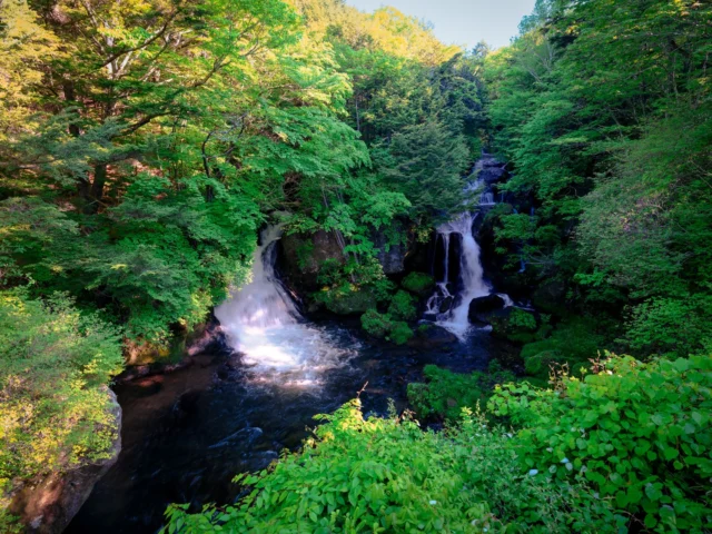 Emerald cascade, Whispers of Shinto spirits, Nature's sacred dance. エメラルド滝、 神道の精のささやき、 自然の神聖な舞。 #waterfallwonders #sacrednature #japanesecountryside #naturephotography #offbeatjapan #japan #spiritualjourney #serenesights