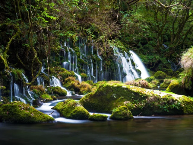 Emerald whispers, Water's silky dance glides free, Nature's quiet hymn. エメラルドのささやき、 水の絹の舞、静かな自然の賛歌。 #Akame48 #waterfalllove #serenejapan #mysticalforest #naturephotography #offbeatjapan #japan