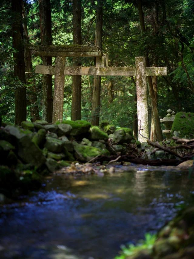 Moss-clad gate whispers, Where sunlit streams softly dance, Nature’s shrine unfolds.苔むす門、 木漏れ日の小川、 自然の社。#sacredjapan #mossymagic #toriiwanderings #serenityinthetrees #hiddenretreat #spiritualjourney #offbeatjapan #japan