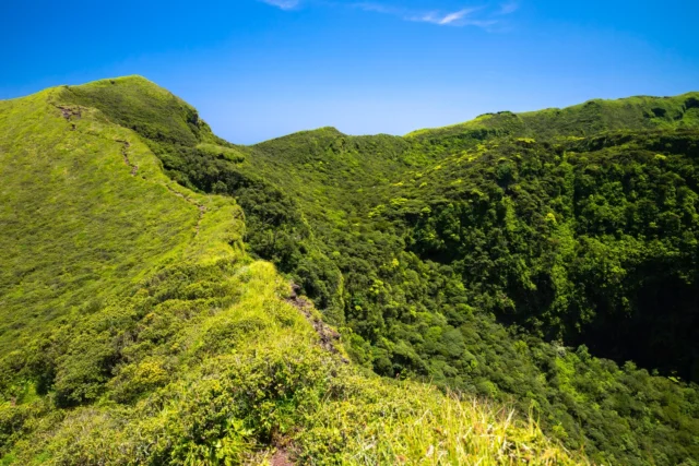 Emerald hills gleam, Trails weave through verdant silence— Nature's quiet breath. エメラルドの丘、 静けさに道を編む— 自然の静かな息。 #emeraldlandscape #serenejapan #hikingtrails #naturejapan #hiddenjapan #offbeatjapan #japan